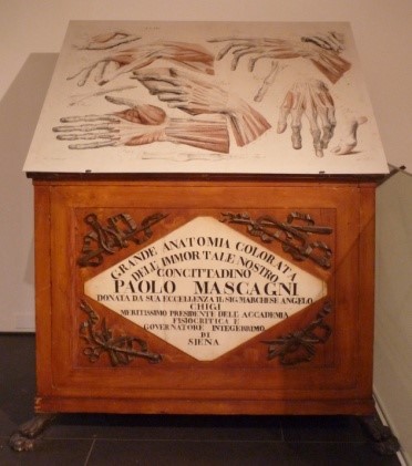 scienza medica