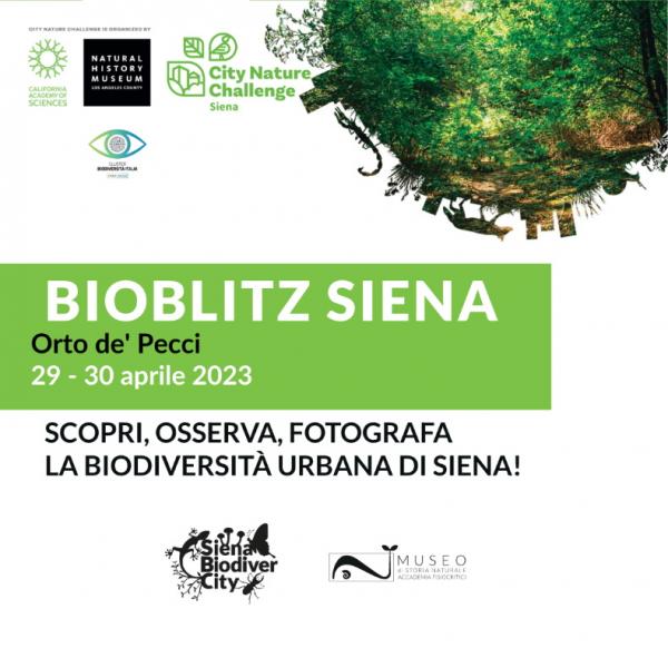 BioBlitz2023