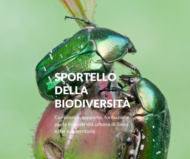 immaginespoertello-della-biodiversita-per-sito