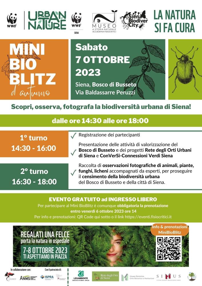 20231007-Mini-BioBlitz-corretta