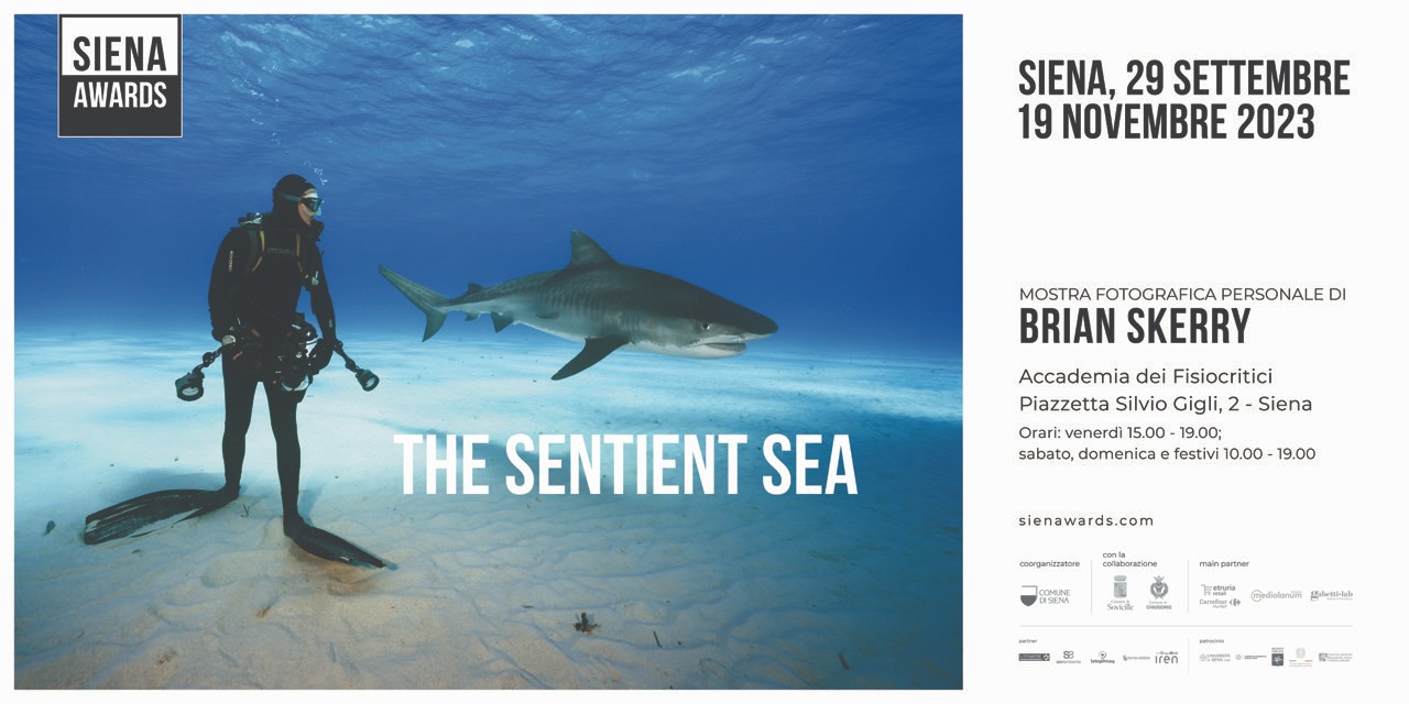 2023 Loc. 1 mostra Skerry Siena Awards