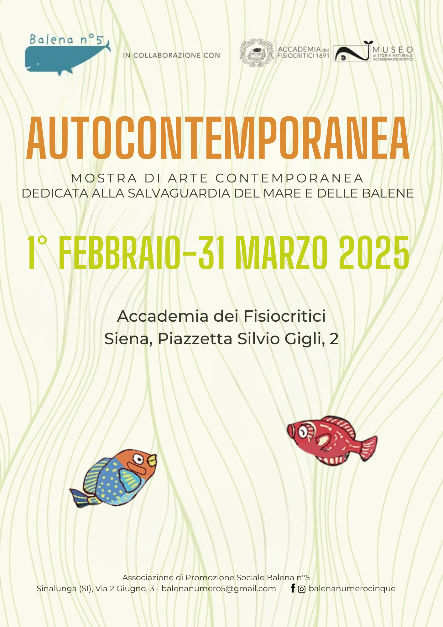 2025.01.31 mostra autocontemporanea