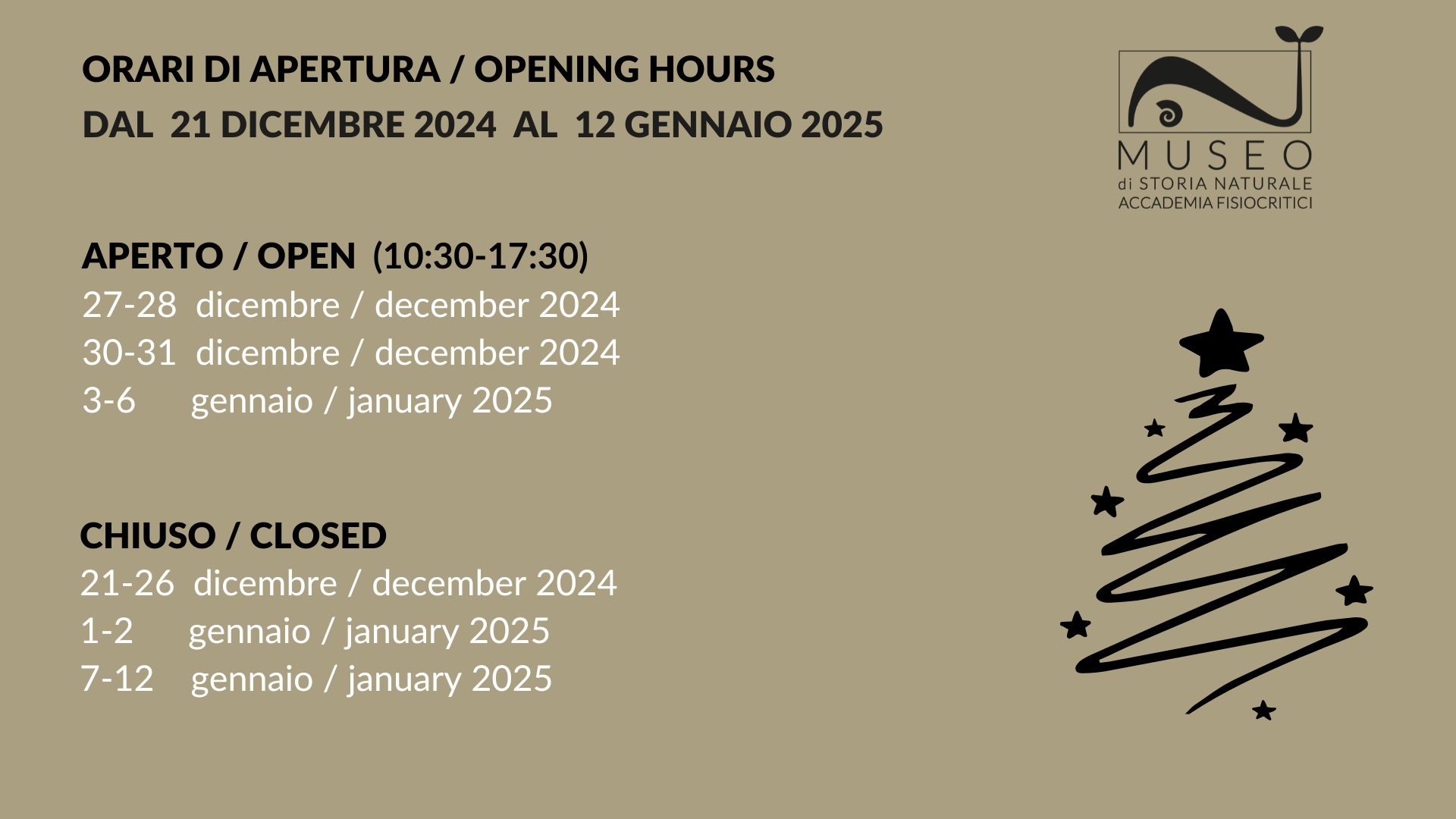 Orario festività 2024