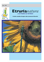 Etrurianatura 2004